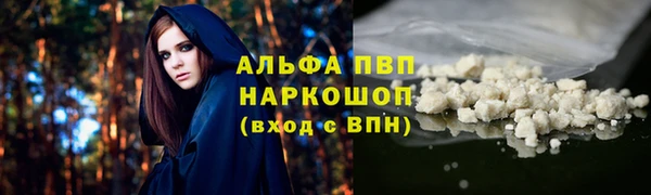 метадон Алексин