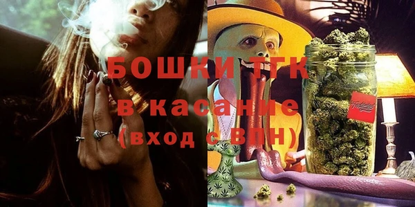 индика Аркадак