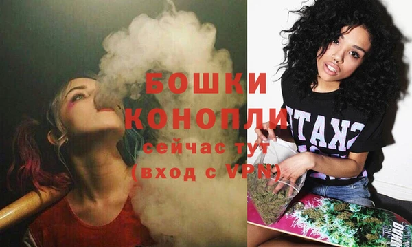 гашик Дмитровск
