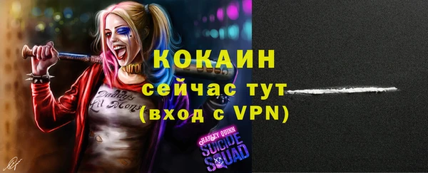 spice Алзамай