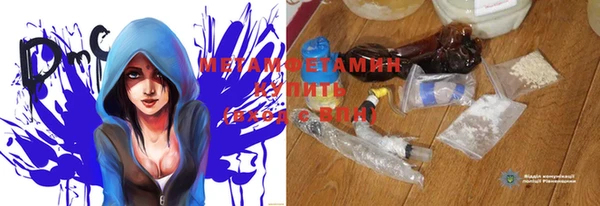 индика Аркадак