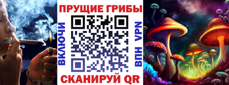 наркошоп  Дудинка  Псилоцибиновые грибы Psilocybine cubensis 